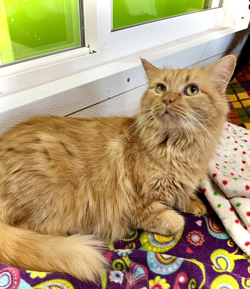 Jane Coldren thumbnail 2