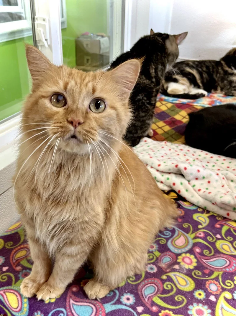 Jane Coldren thumbnail 3