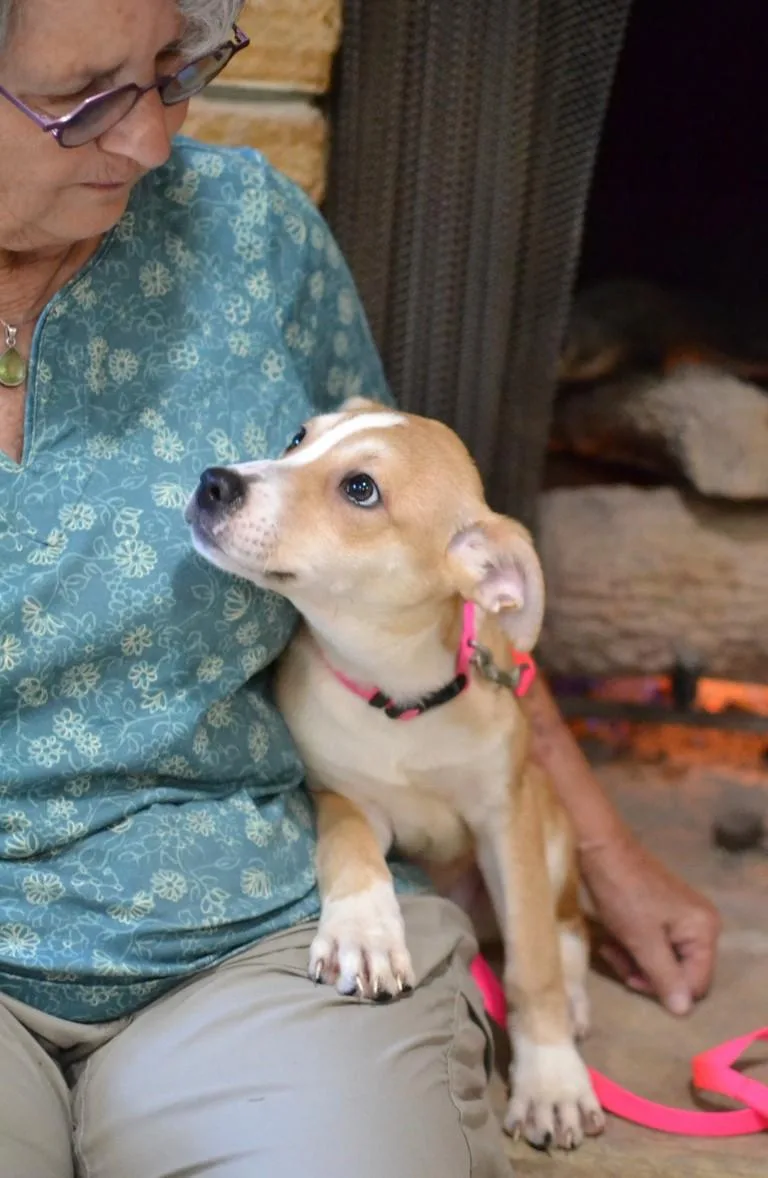 Pippa thumbnail 2
