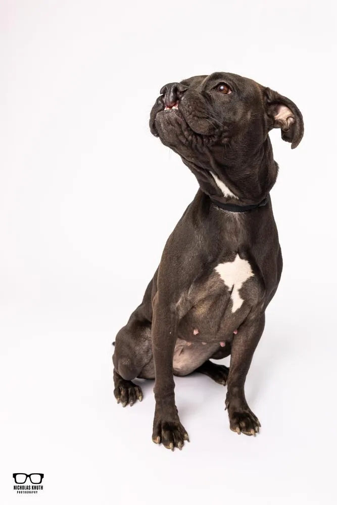 Sarah Smile thumbnail 2