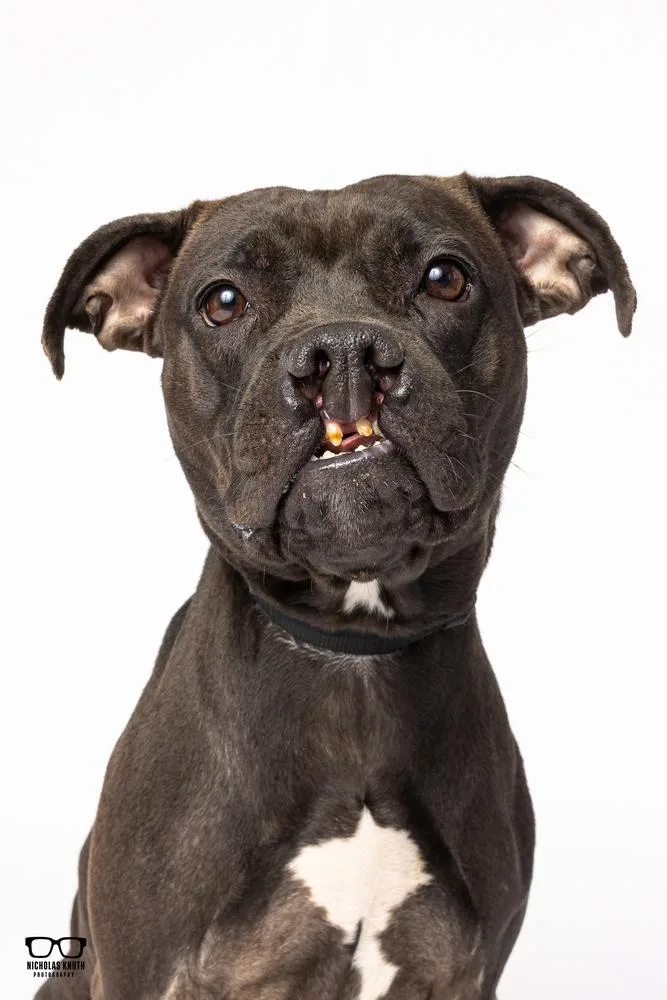 Sarah Smile thumbnail 3