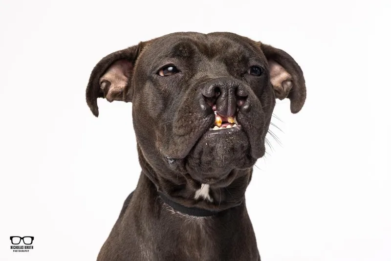 Sarah Smile thumbnail 4