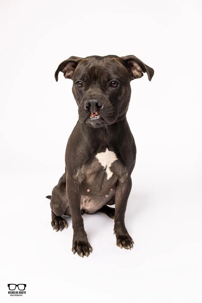 Sarah Smile thumbnail 5