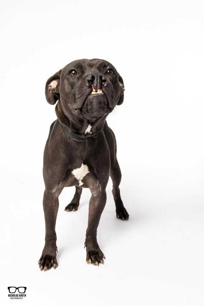 Sarah Smile thumbnail 6