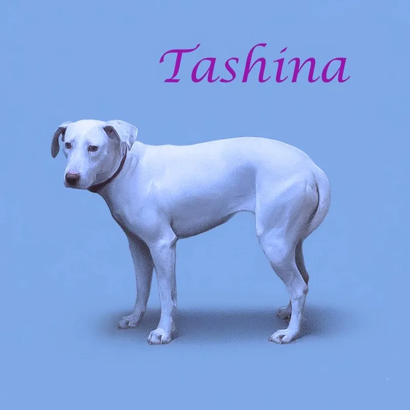 Tashina D thumbnail 2