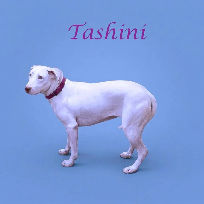 Tashina D thumbnail 3