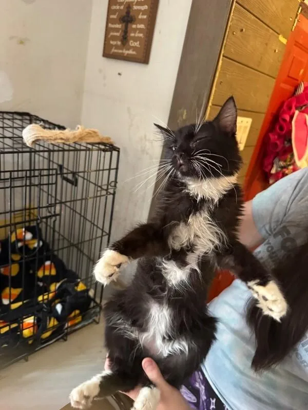 Hugo Drax thumbnail 2