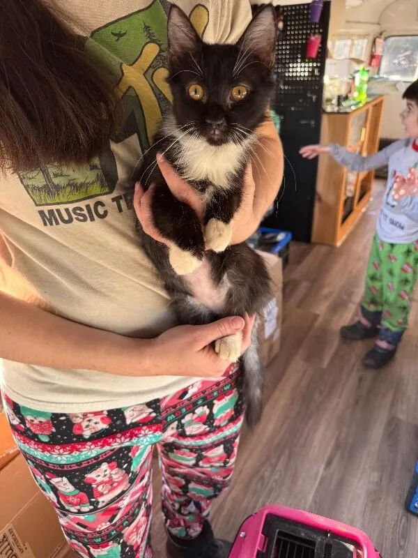 Hugo Drax thumbnail 3