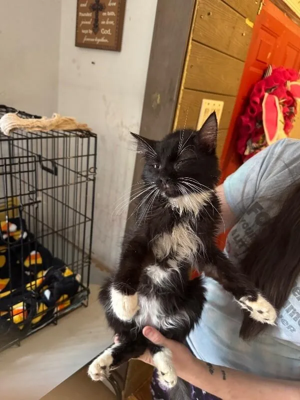 Hugo Drax thumbnail 4