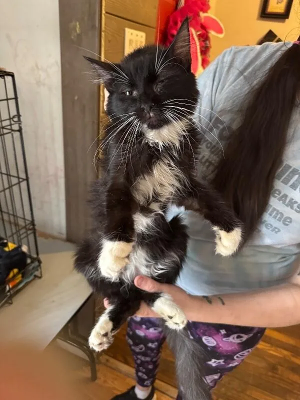 Hugo Drax thumbnail 5