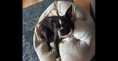 Mindy Gracedallas  Ga thumbnail 2