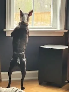 Mindy Gracedallas  Ga thumbnail 3