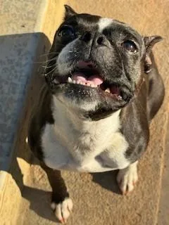 Mindy Gracedallas  Ga thumbnail 4