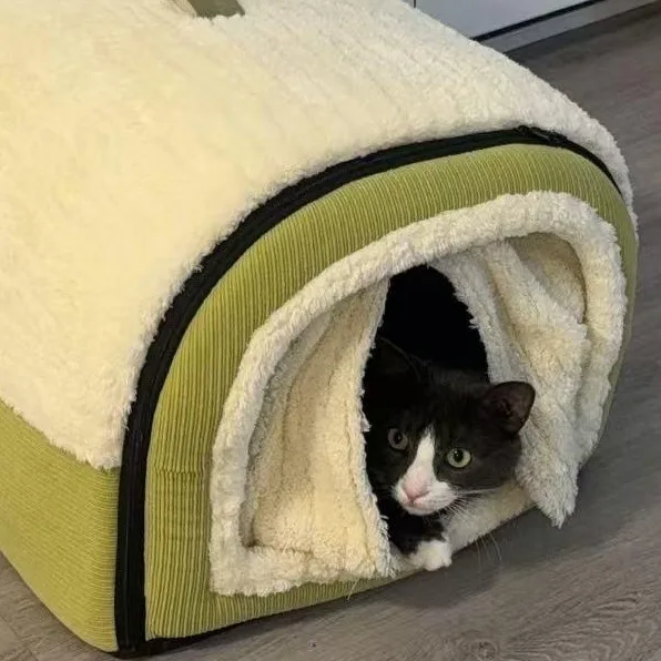 A young medium-sized male Black Domestic Short Hair cat named Bao Bao for adoption in Flushing, NY