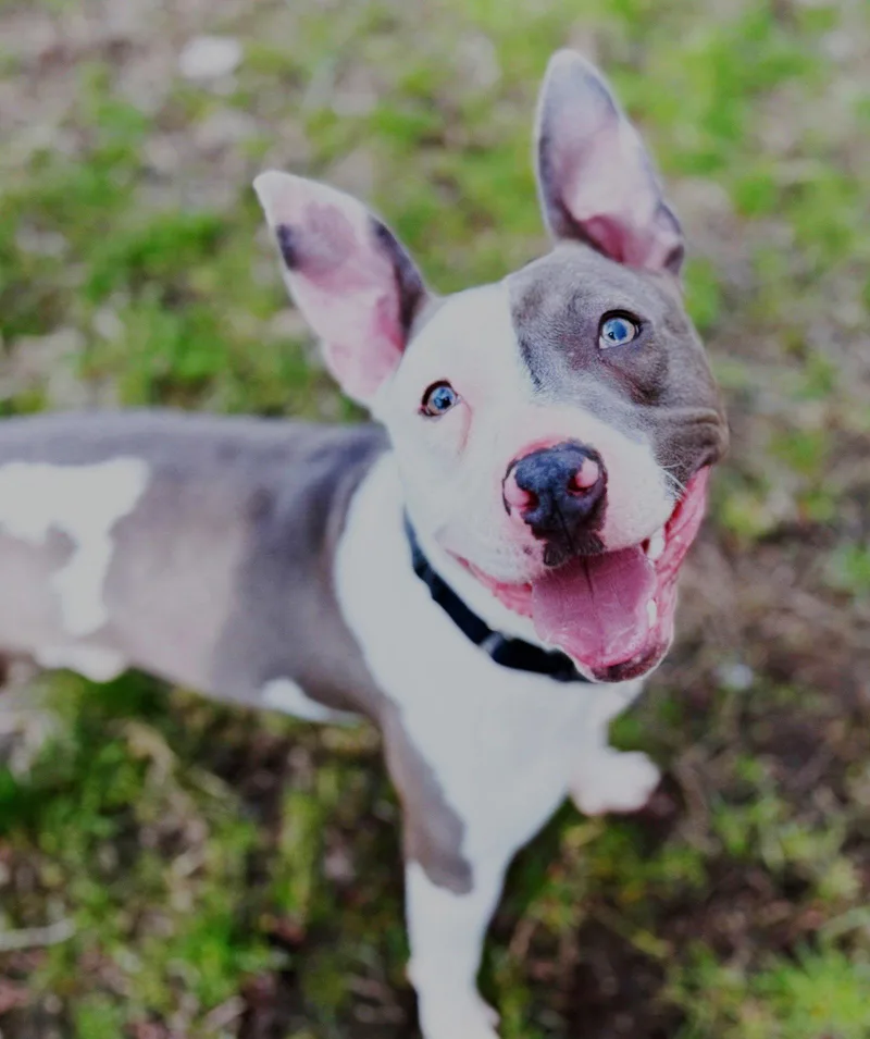 Xp Mr. Worldwide  thumbnail 2