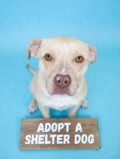 Keaton ~ Hw+ thumbnail 2