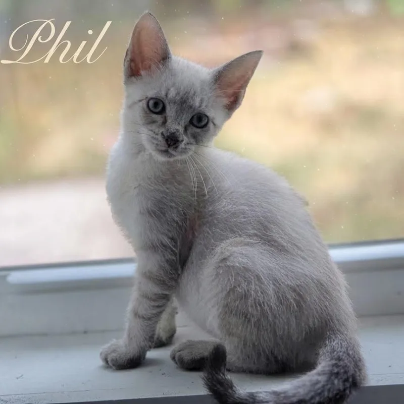 Phil thumbnail 3
