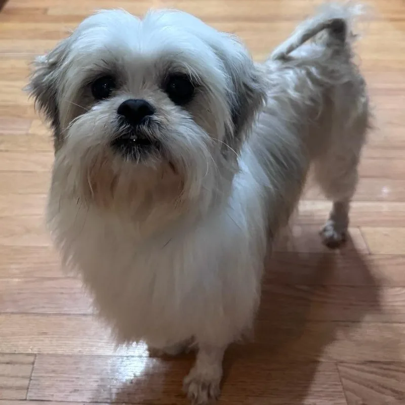 Endearing Emma thumbnail 2