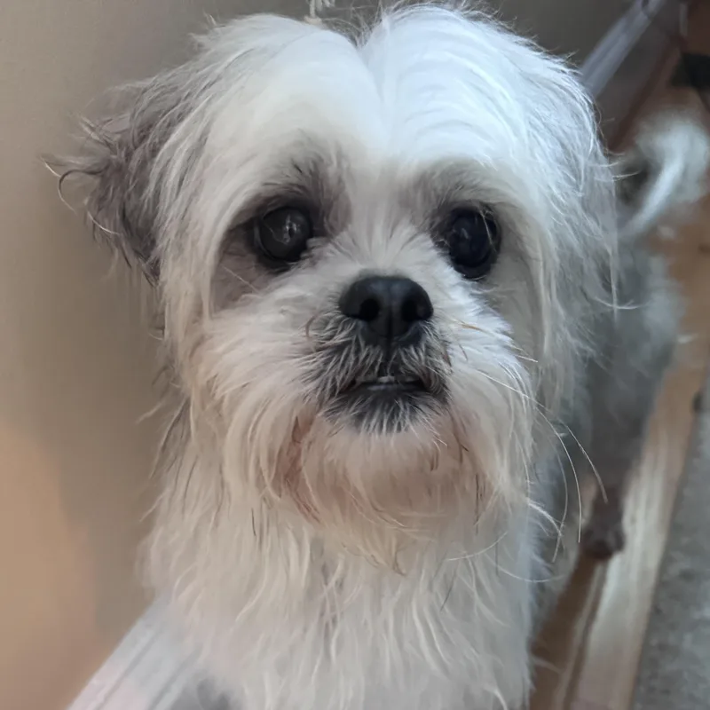 Endearing Emma thumbnail 3