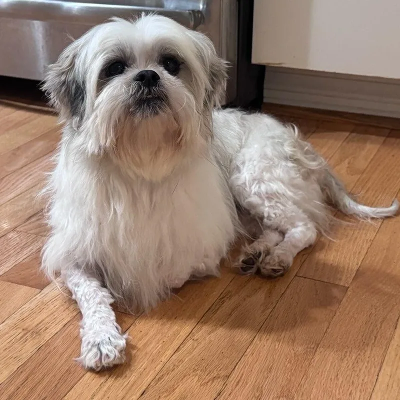 Endearing Emma thumbnail 4