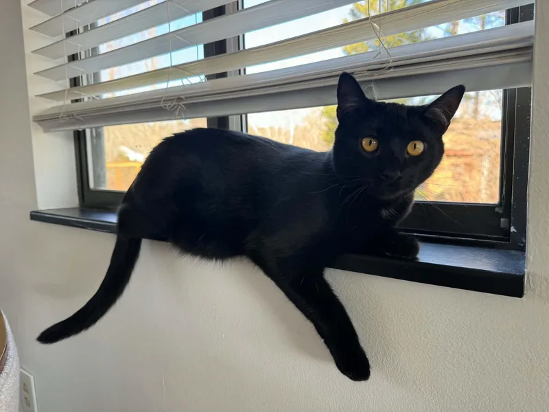 Stella Bean thumbnail 6