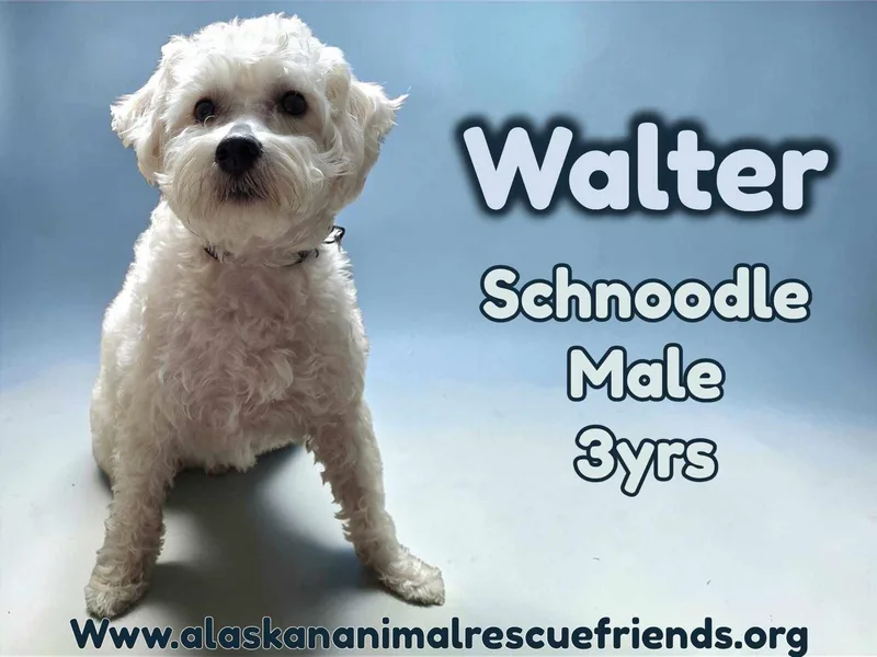 Walter