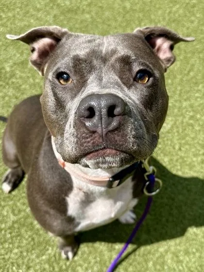 Ella