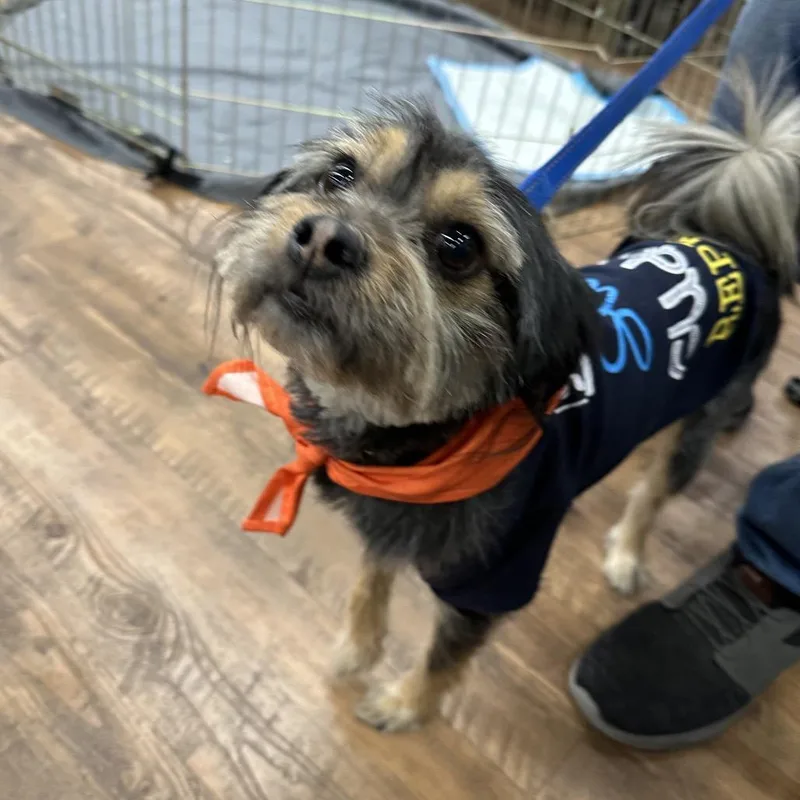 Kingston thumbnail 2