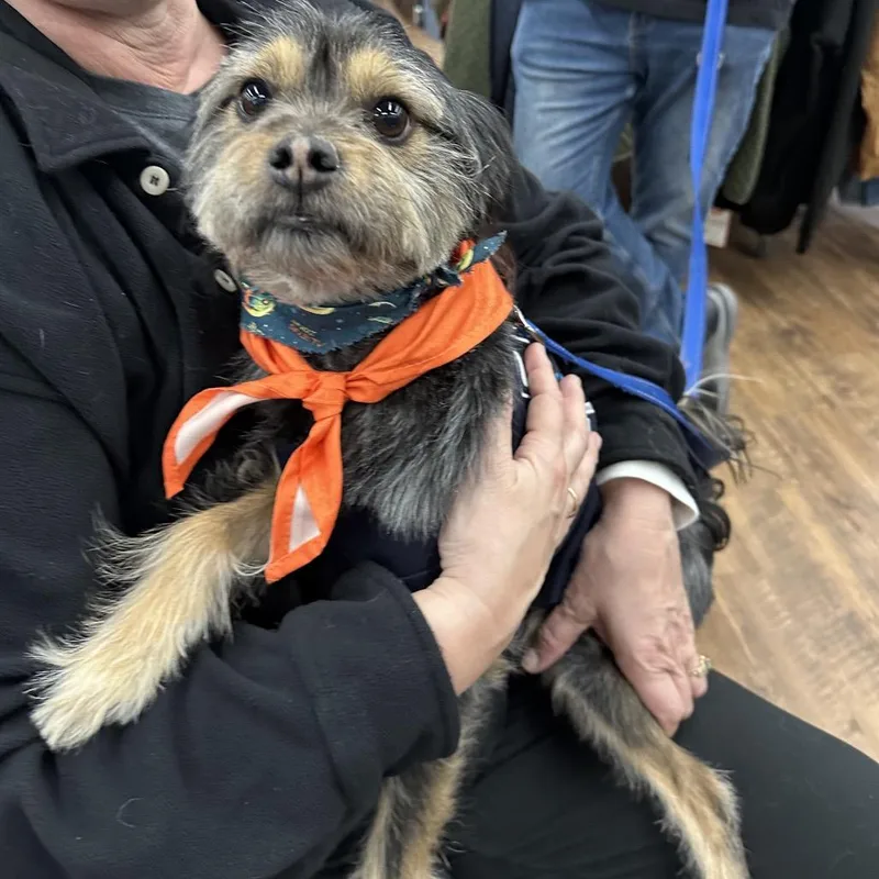 Kingston thumbnail 3