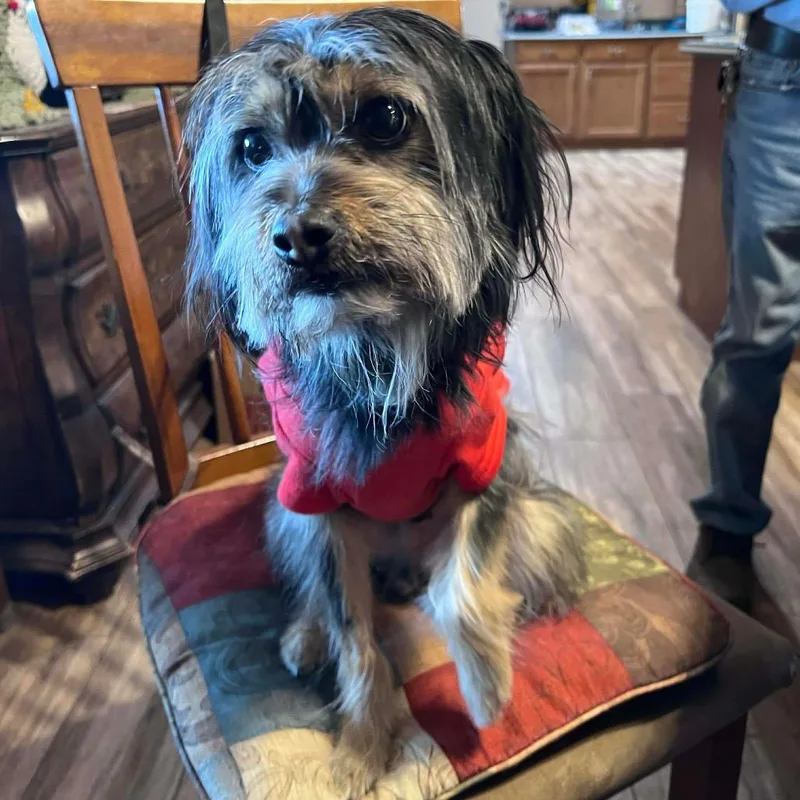 Kingston thumbnail 5