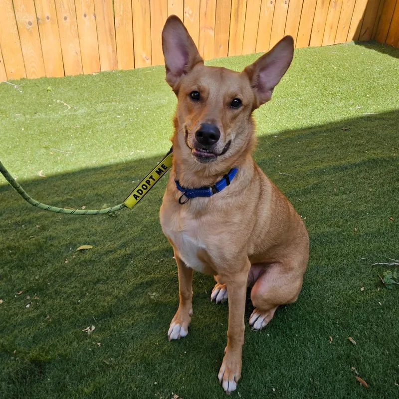 Kanga Jw thumbnail 6