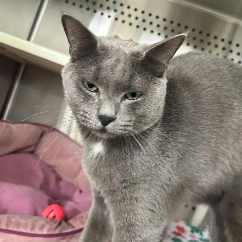 Taffy Houston thumbnail 5