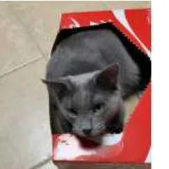 Taffy Houston thumbnail 6