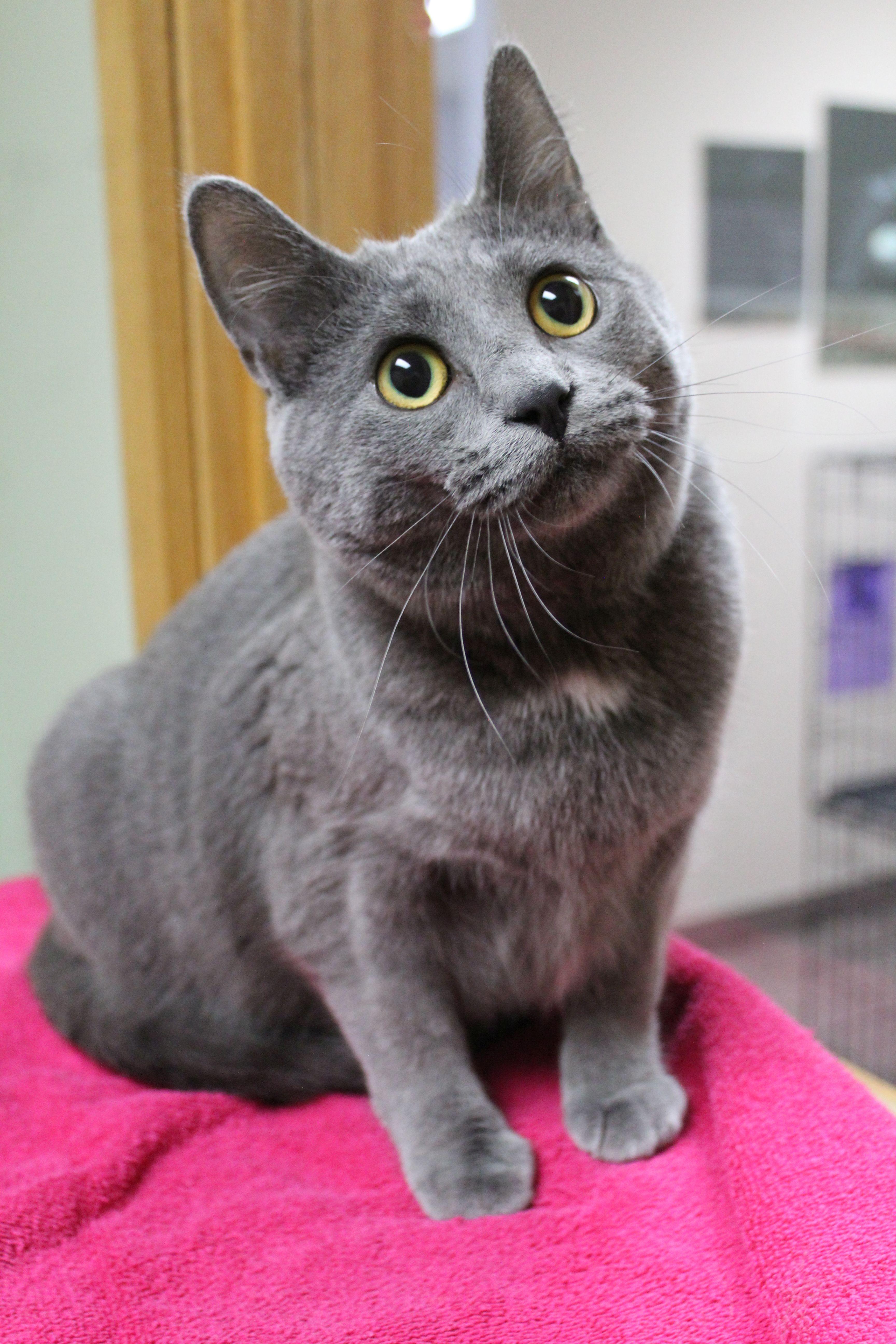 Margarita thumbnail 2