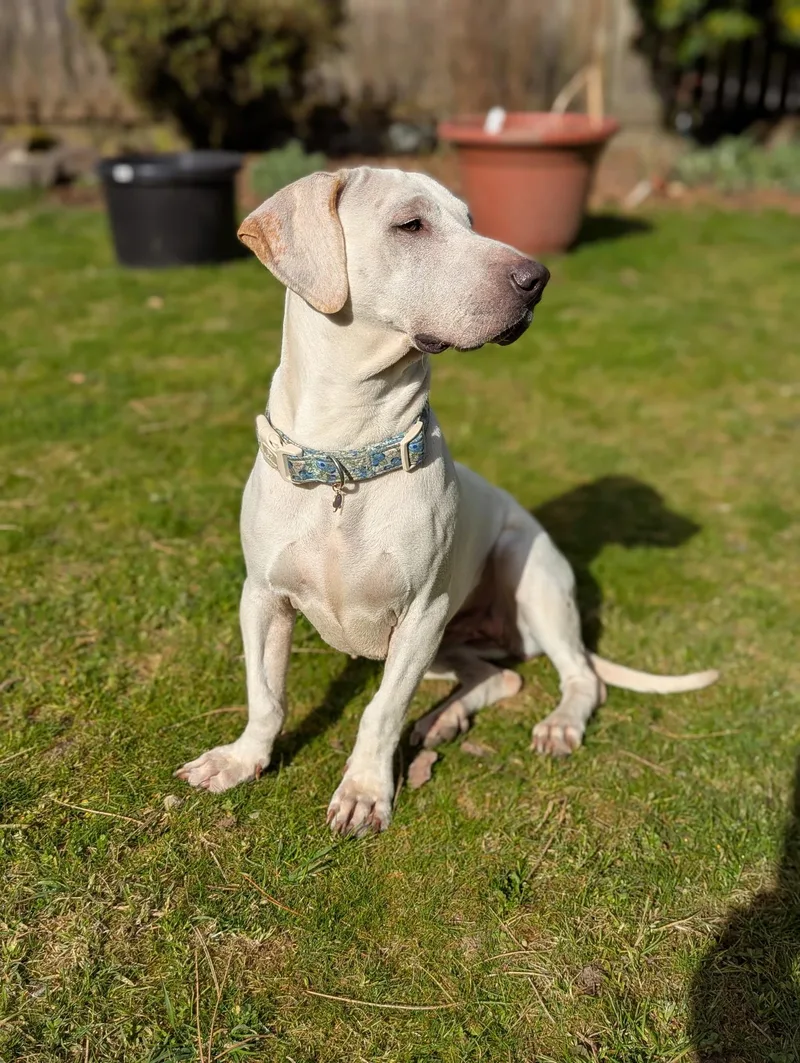 Genevieve thumbnail 4