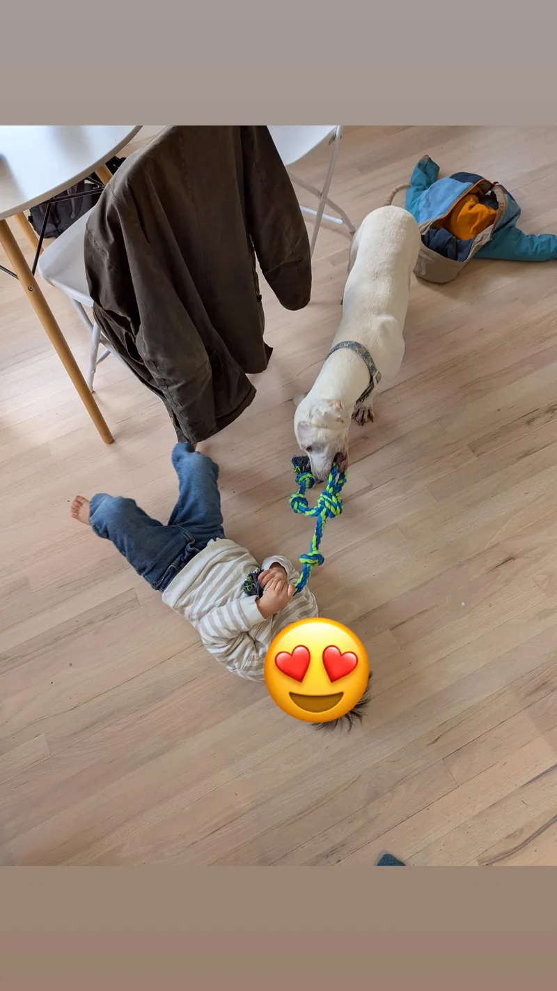 Genevieve thumbnail 5