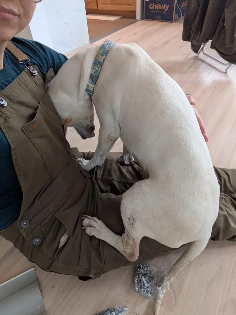 Genevieve thumbnail 6