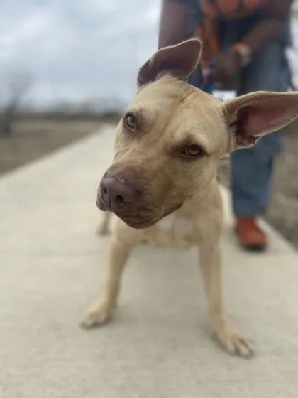 Tinkerbell thumbnail 3