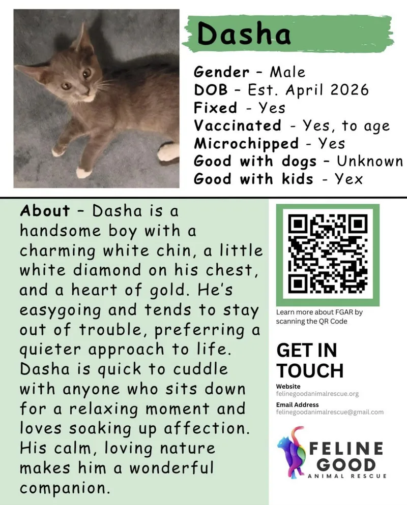 Dasha thumbnail 3