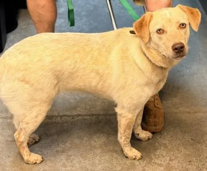 Daisy Mae thumbnail 2