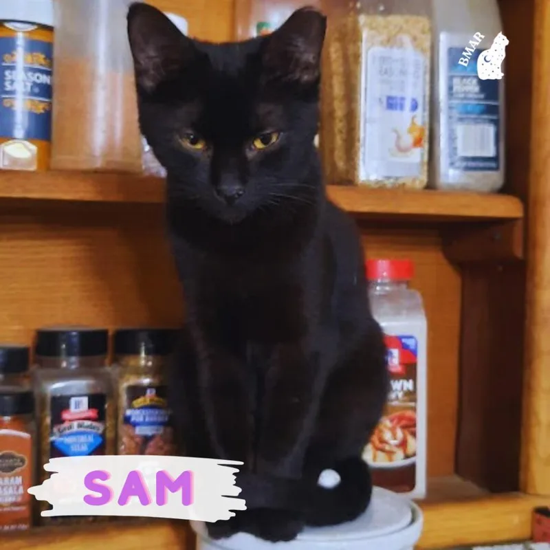 Sam