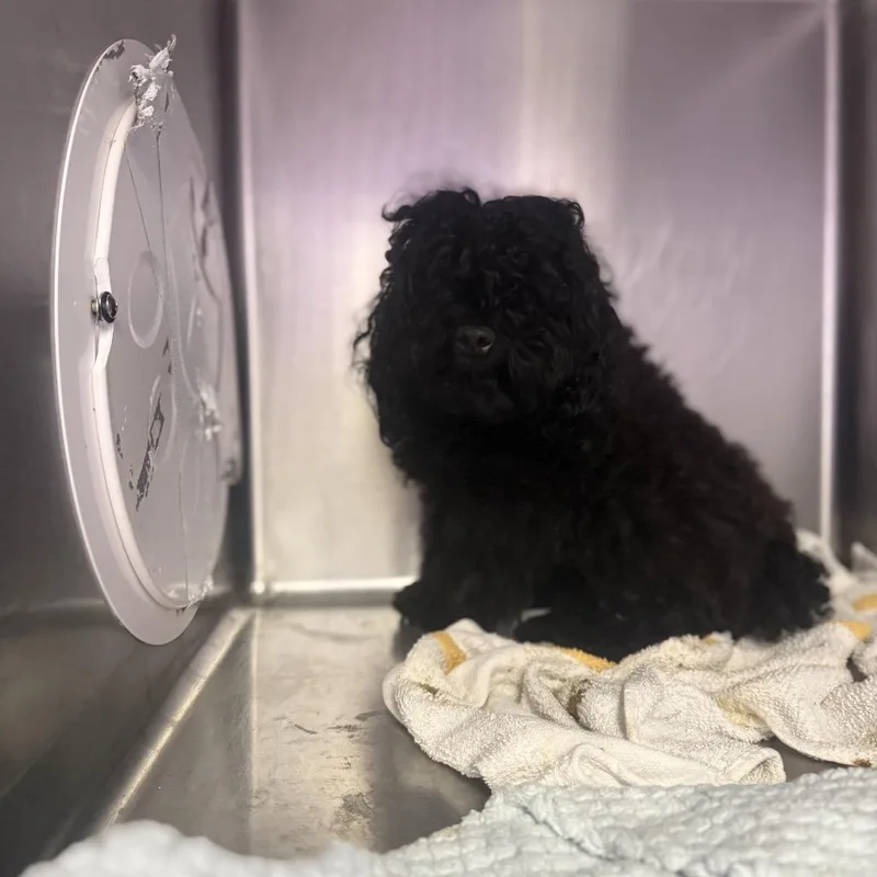 Zoey Marie thumbnail 3