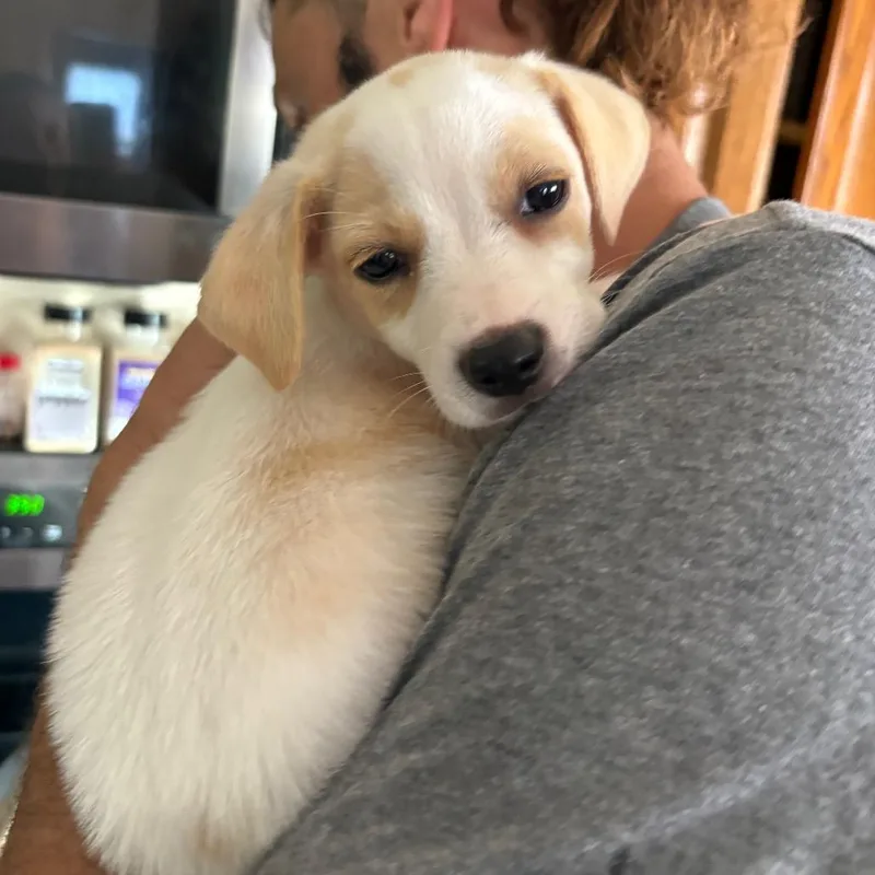 Winnie thumbnail 2