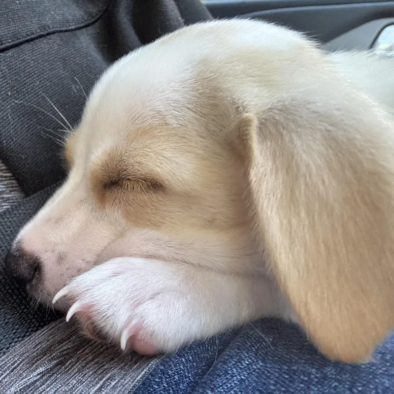 Winnie thumbnail 3