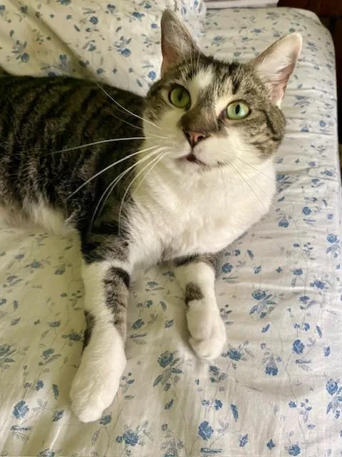 Josephine thumbnail 2