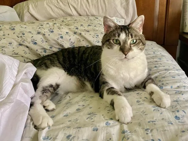 Josephine thumbnail 3