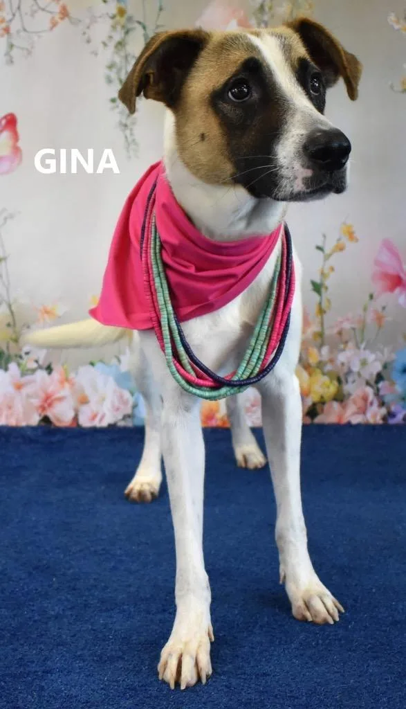 Lady Von Scuttlebutt thumbnail 2