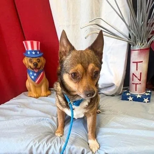 Duke