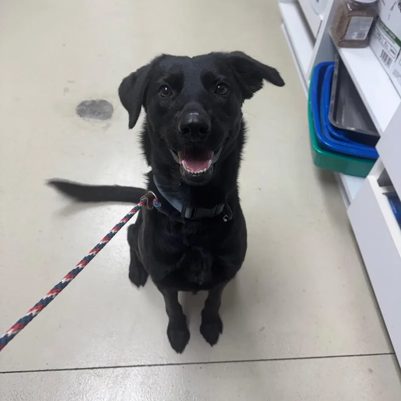 Lilly May thumbnail 2