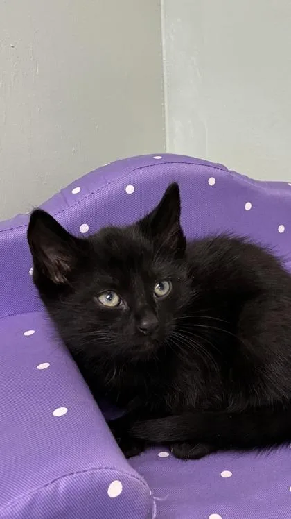 Gamestop thumbnail 2